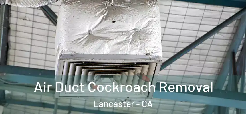 Air Duct Cockroach Removal Lancaster - CA