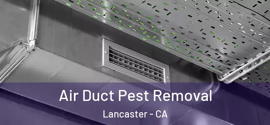 Air Duct Pest Removal Lancaster - CA