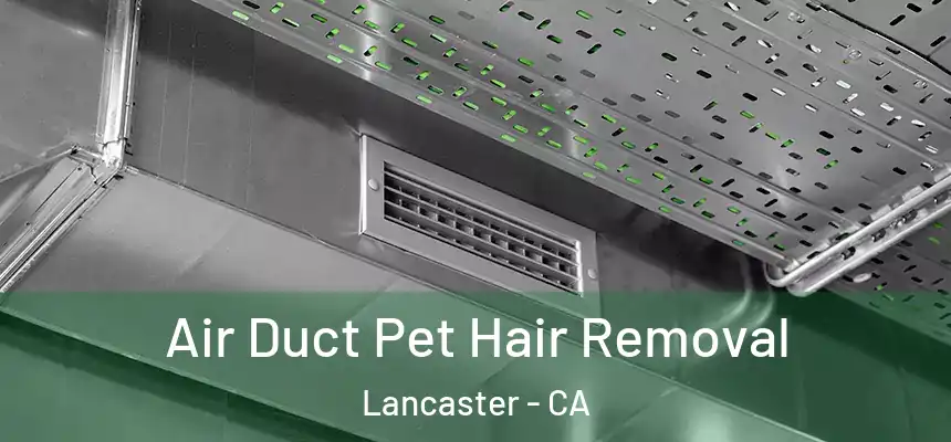 Air Duct Pet Hair Removal Lancaster - CA