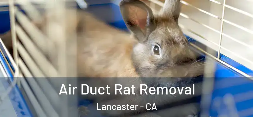 Air Duct Rat Removal Lancaster - CA