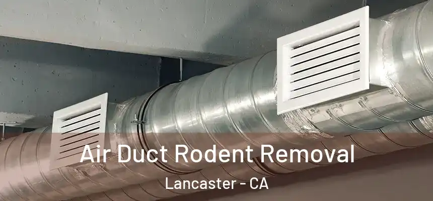 Air Duct Rodent Removal Lancaster - CA