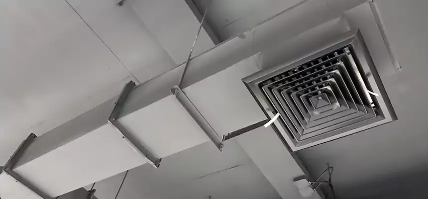 Our Rodent Droppings In Vents Services in Lancaster, CA