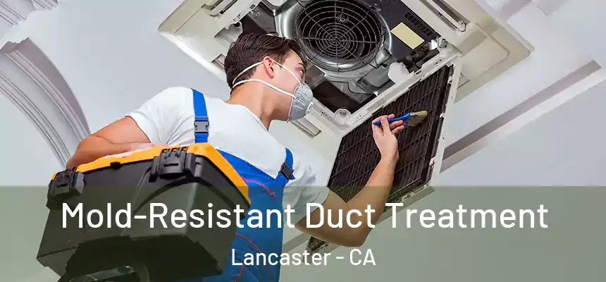 Mold-Resistant Duct Treatment Lancaster - CA