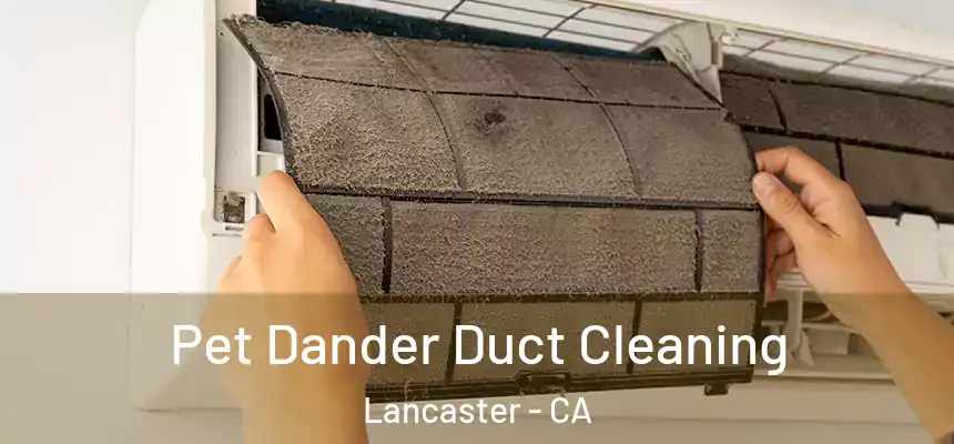 Pet Dander Duct Cleaning Lancaster - CA