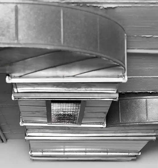 Professional Air Duct Pet Hair Removal in Lancaster, CA