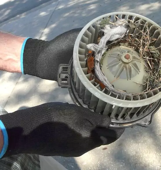 About Air Duct Rat Removal in Lancaster, CA