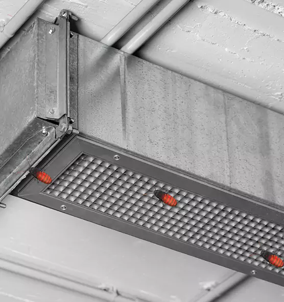 Affordable Insect Removal from Air Ducts in Lancaster, CA