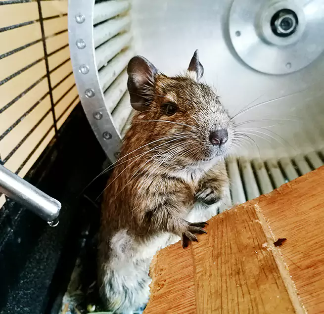 Why Homeowners & Businesses Trust Us Lancaster, CA?