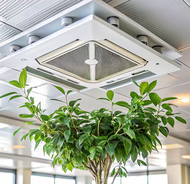 Why Homeowners & Businesses Trust Us in Lancaster, CA?