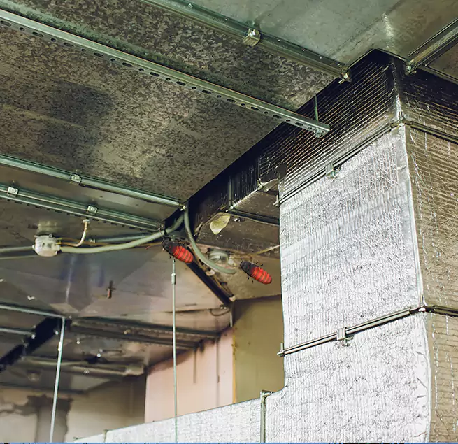 Why Homeowners & Businesses Trust Us Lancaster, CA?